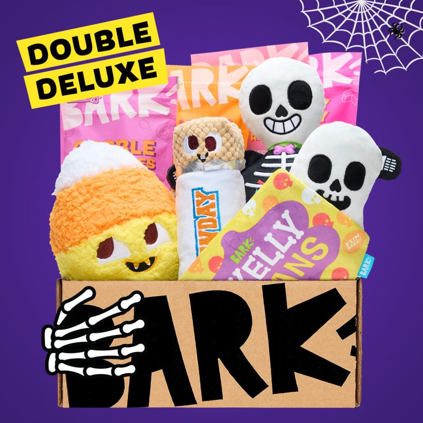 BarkBox 12 Month Subscription – Double Deluxe First Box - BARK